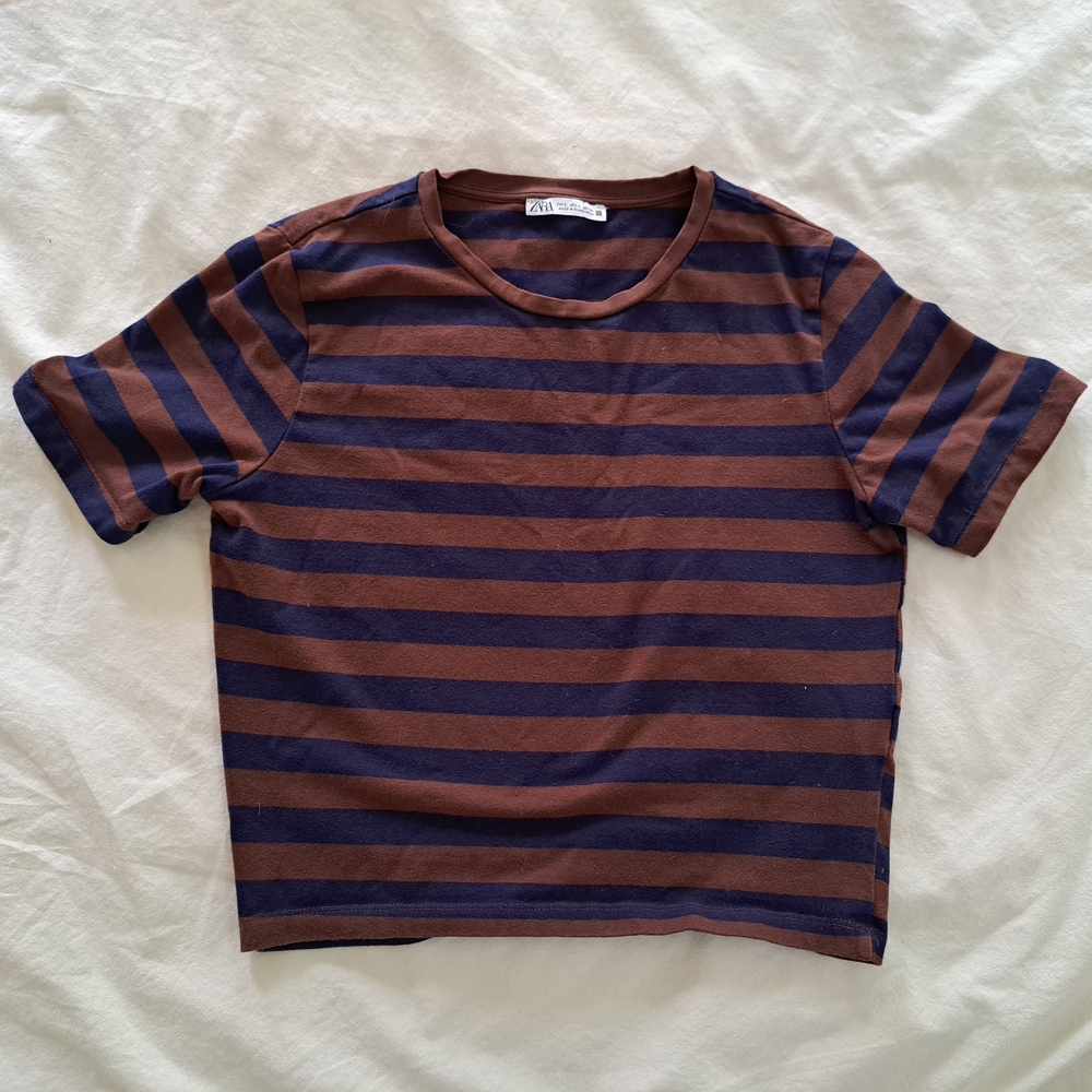 Zara Brown and Blue Striped Short Sleeve Tee